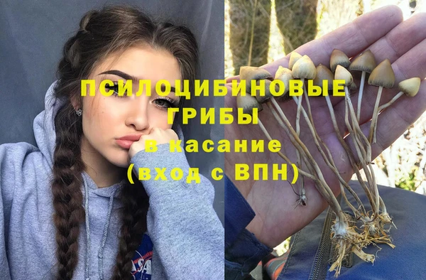 2c-b Алексеевка
