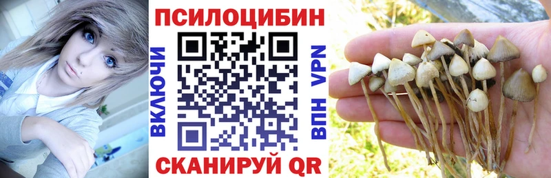 мориарти телеграм  мега рабочий сайт  Устюжна  как найти закладки  Псилоцибиновые грибы MAGIC MUSHROOMS 