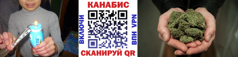 Конопля сатива  цена наркотик  Устюжна 